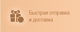 Быстрая отправка и доставка